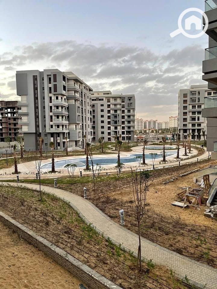 12 568840730_1148465044018257_5547812993189220934_n. jpg