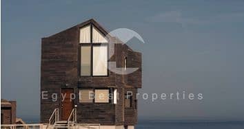 10 Screenshot_13-7-2025_12421_. jpeg