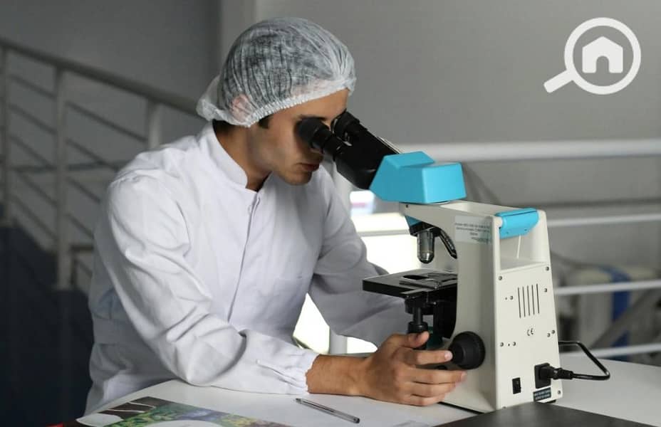 7 WhatsApp Image 2025-12-21 at 12.01. 52. jpeg