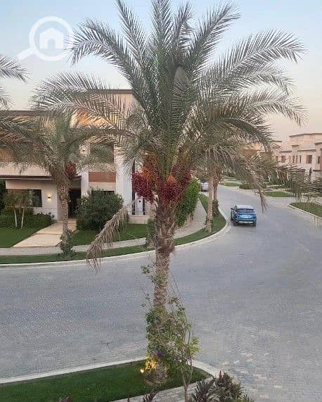 6 Screenshot_14. jpg