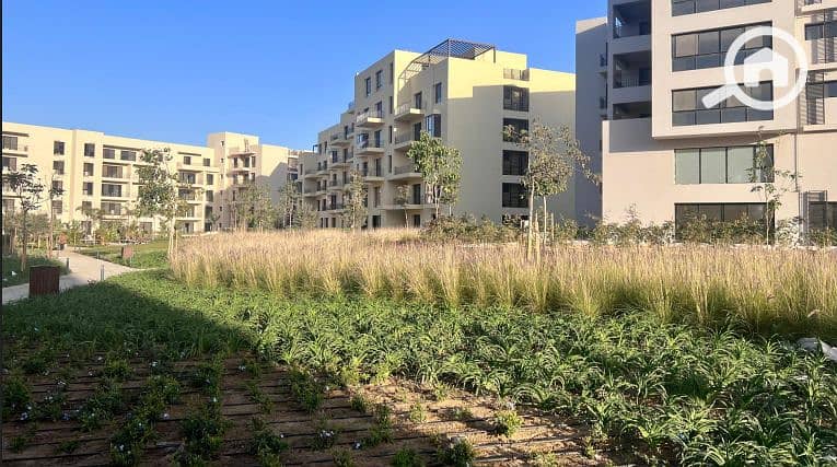 7 Screenshot 2025-06-23 121806. png