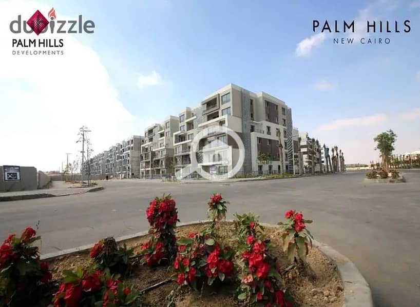 5 Screenshot_203. png