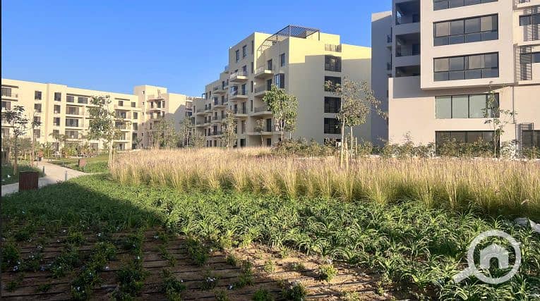 2 Screenshot 2025-06-23 121806. png