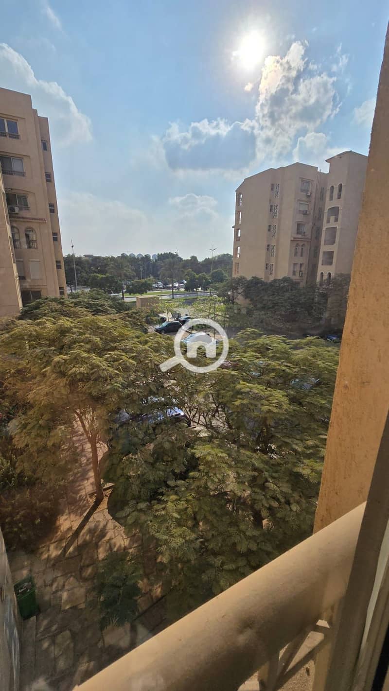 15 b03da499-3ebc-4191-9b20-c900a414970f. jpg