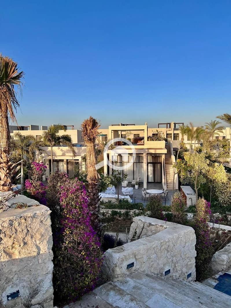 4 WhatsApp Image 2025-07-07 at 18.41. 15_88312d30. jpg