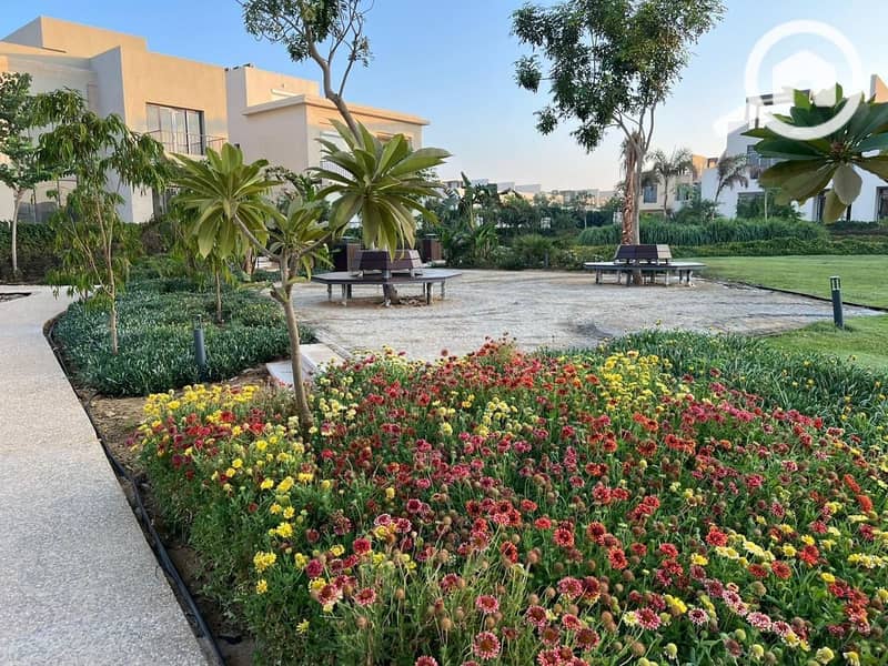 5 WhatsApp Image 2025-07-07 at 18.41. 16_60eb78e0. jpg