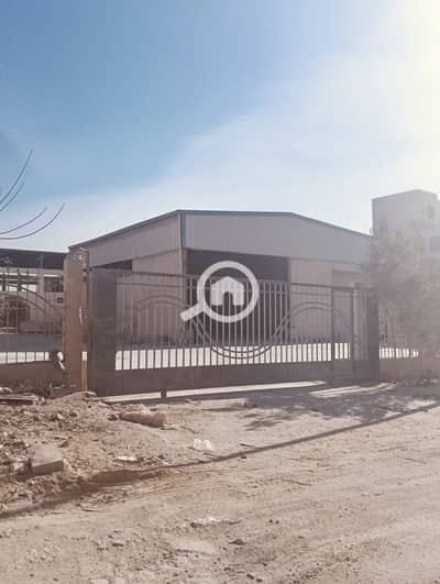 Factory for Sale in New Cairo, Cairo - WhatsApp Image 2025-12-16 at 1.28. 07 PM (2). jpeg