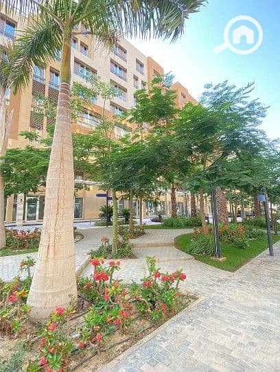 12 Screenshot_1. jpg