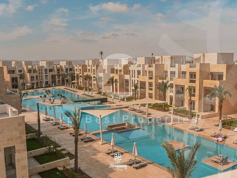 10 88415560-c2e9-4898-bed4-7c5b4f0e3b4b. jpg