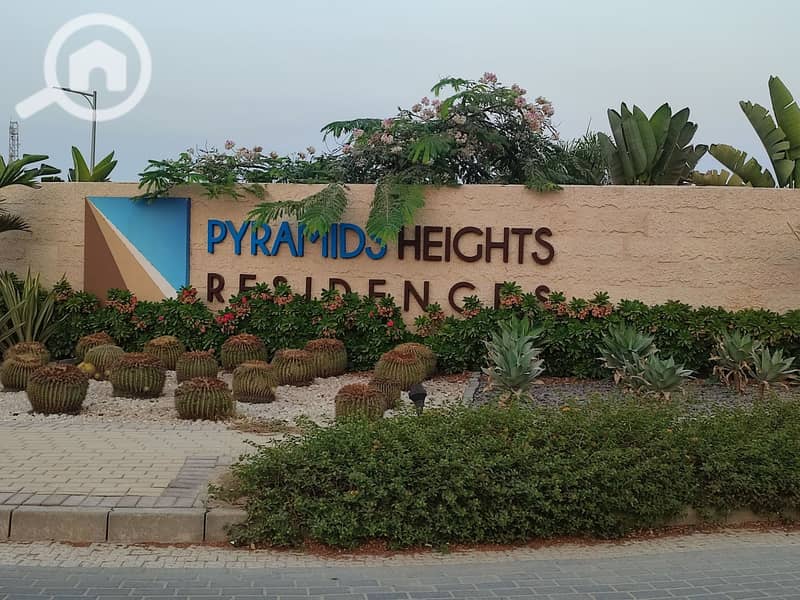 10 481644572_623624323747535_600977666209320642_n. jpg