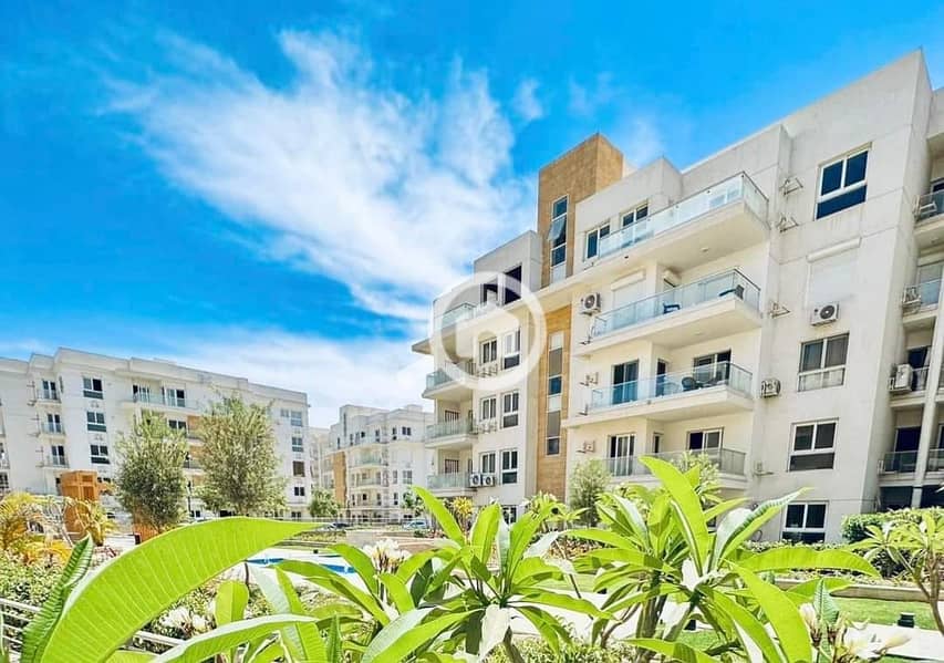 5 WhatsApp Image 2024-06-23 at 1.01. 23 PM. jpeg