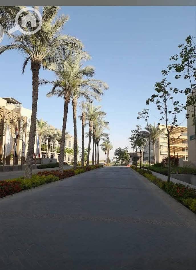 7 FB_IMG_1740050380898. jpg