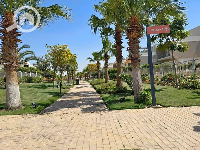 5 461393667_878933680884106_2987484186478708341_n. jpg