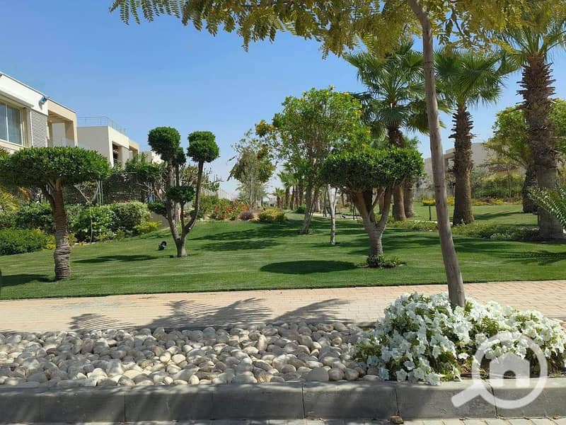 6 461395855_431932102770863_7704704401610722479_n. jpg