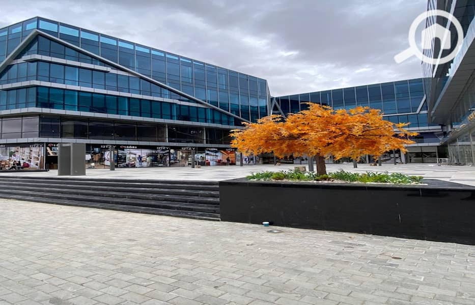 6 2024-05-22 (3). jpg