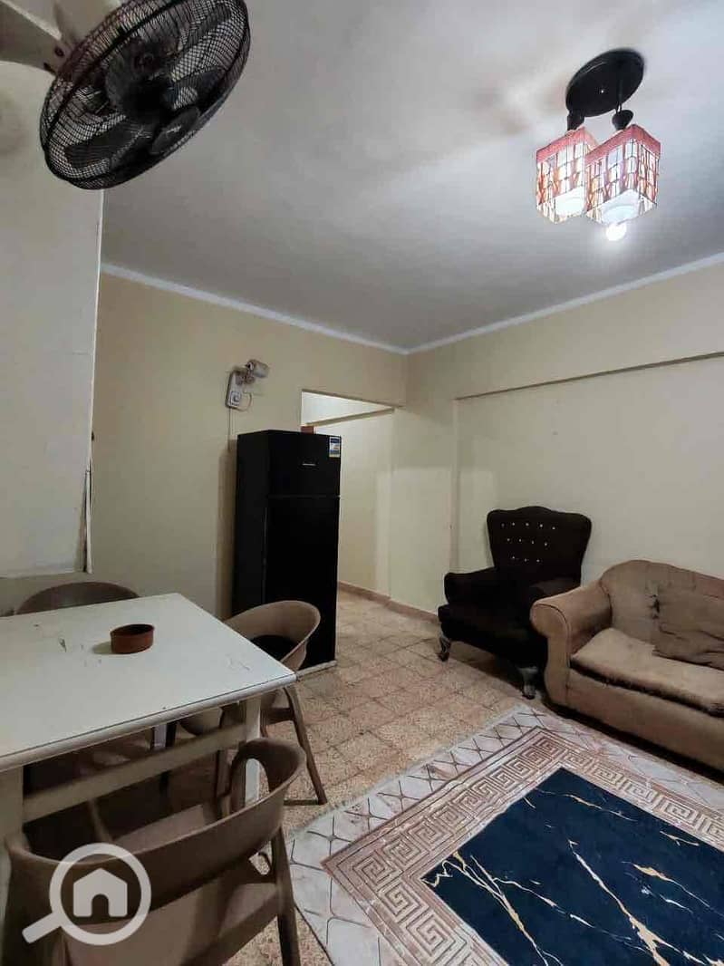 3 2525f9d8-ef72-4b9a-ba47-352b2e4acb8e. jpg