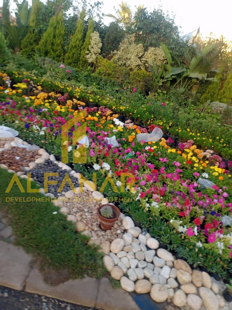 3 IMG-20251221-WA0033. jpg