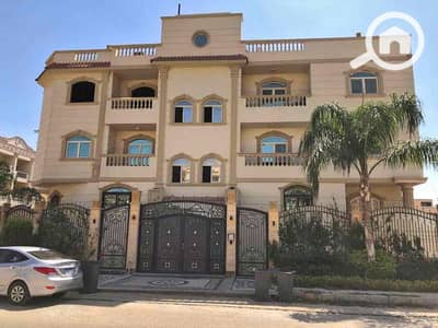 فلیٹ 3 غرف نوم للايجار في القاهرة الجديدة، القاهرة - IMG_2869. jpg