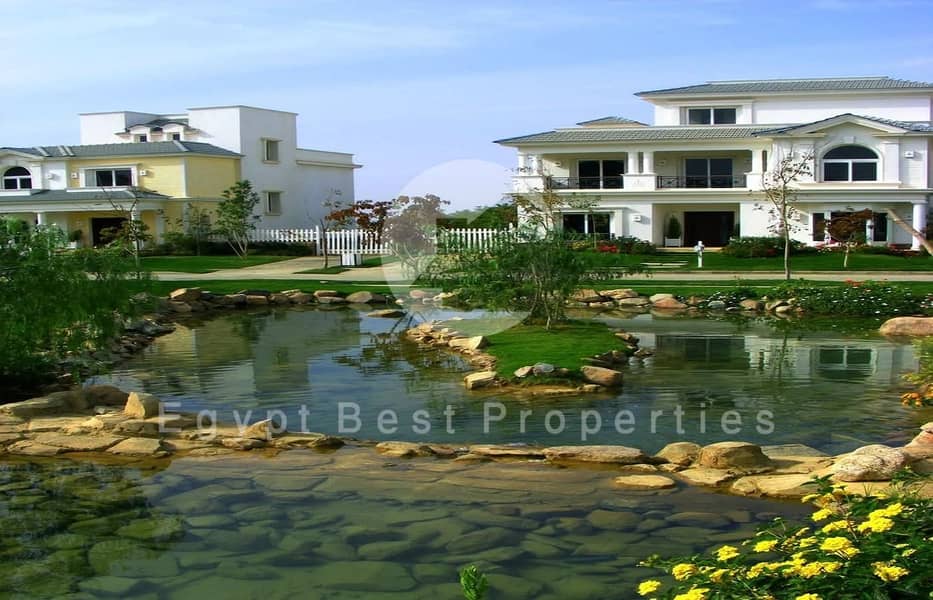 7 e355991e-b29e-47d0-901a-9f43a54e5e65. jpeg