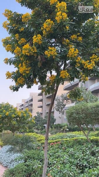 2 WhatsApp Image 2025-11-27 at 5.43. 45 PM. jpeg