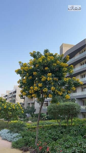 16 WhatsApp Image 2025-11-27 at 5.45. 11 PM. jpeg