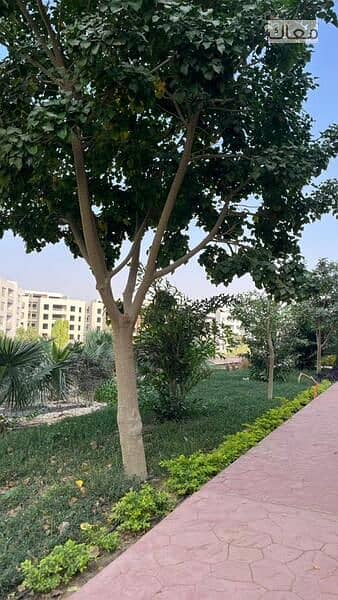 3 WhatsApp Image 2025-11-27 at 5.45. 13 PM (1). jpeg