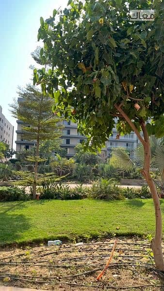 6 WhatsApp Image 2025-11-27 at 5.45. 31 PM (1). jpeg