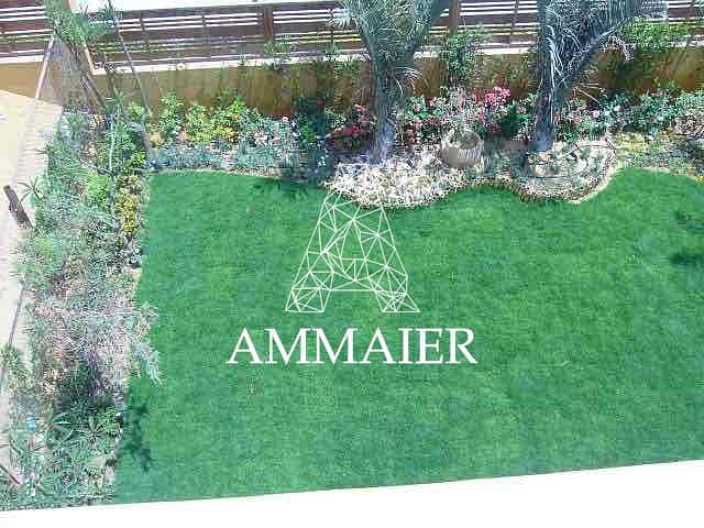 3 ee006562-283e-41c4-9d3b-0b879126ff14. jpg