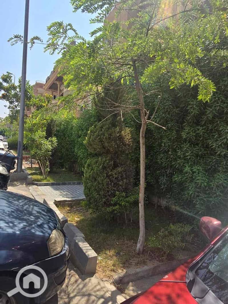 3 71652661-34cb-4aaf-8ae1-58dbff9600bd. jpg