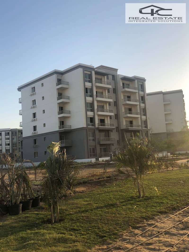 5 WhatsApp Image 2023-11-18 at 2.07. 57 PM (1). jpeg