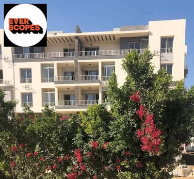 3 Bedroom Flat for Sale in New Cairo, Cairo - 589095287_4323407181223931_1285098378562777988_n. jpg