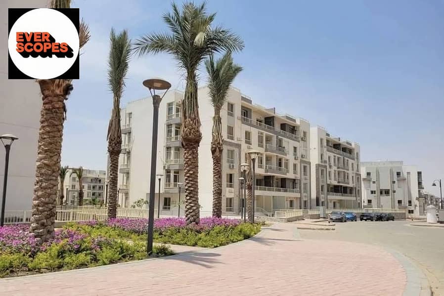 6 568216849_2481236252259049_2612638603028398958_n. jpg