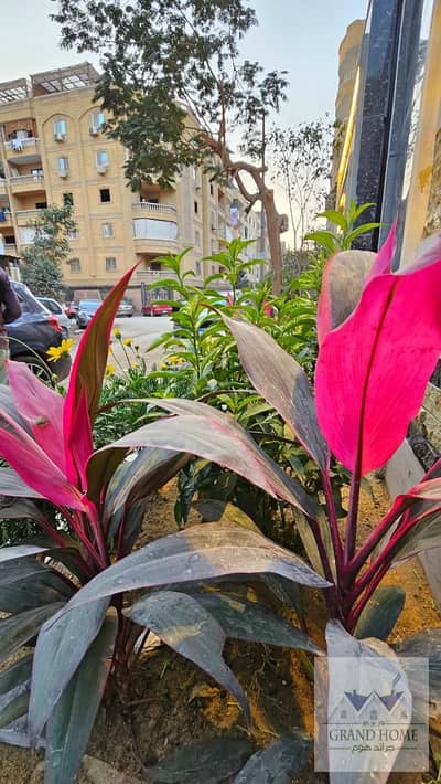 4 Bedroom Duplex for Sale in Hadayek al-Ahram, Giza - WhatsApp Image 2025-12-21 at 2.09. 39 PM. jpeg