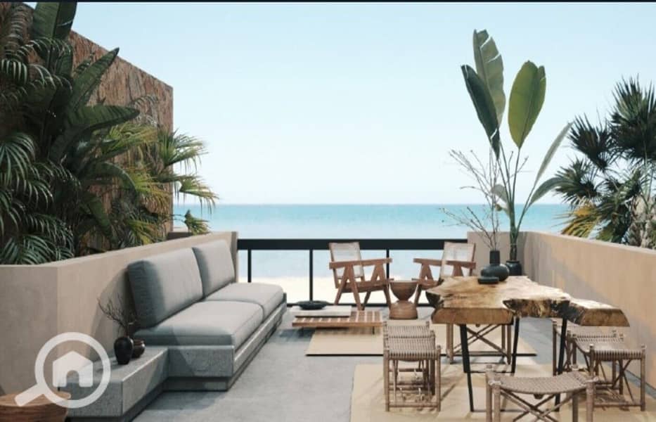 17 WhatsApp Image 2024-09-02 at 12.39. 47_27bb64ac. jpg