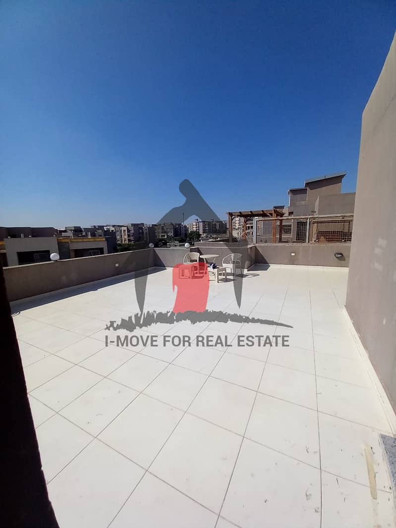 6 41b4c96e-5177-4117-b209-8ddb0b5a59fd. jpg