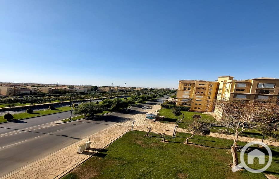 20 4b426178-dc24-4ca6-b8cf-67397a67a5fa. jpeg