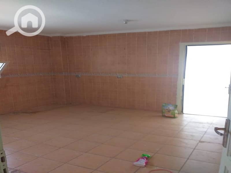 50 f236f807-0bcb-46d3-8bb7-42043b84c9d4. jpg