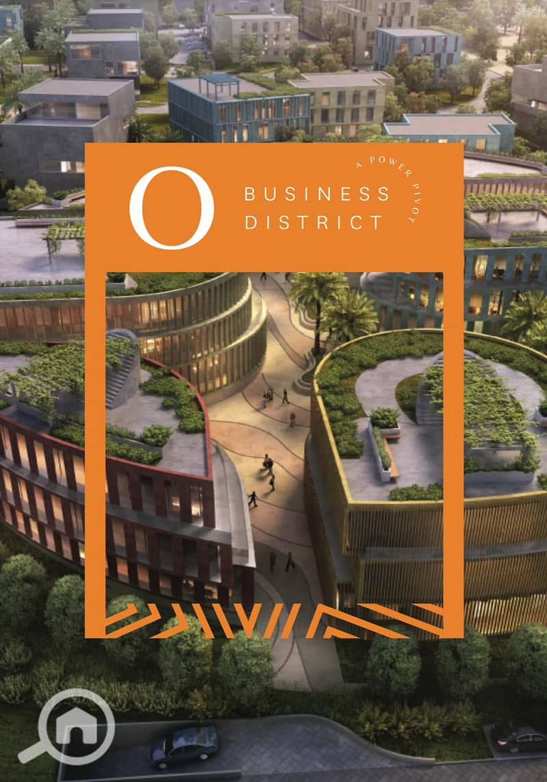 13 WhatsApp Image 2024-08-13 at 13.40. 55_38287564. jpg