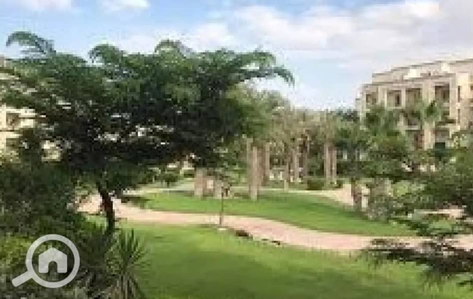 6 8431926-1fc01o. jpg