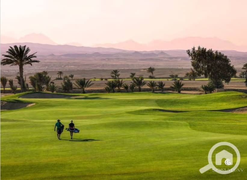 8 Screenshot_27-2-2024_144814_. jpeg