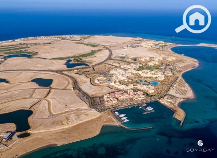 9 Screenshot_27-2-2024_144834_. jpeg