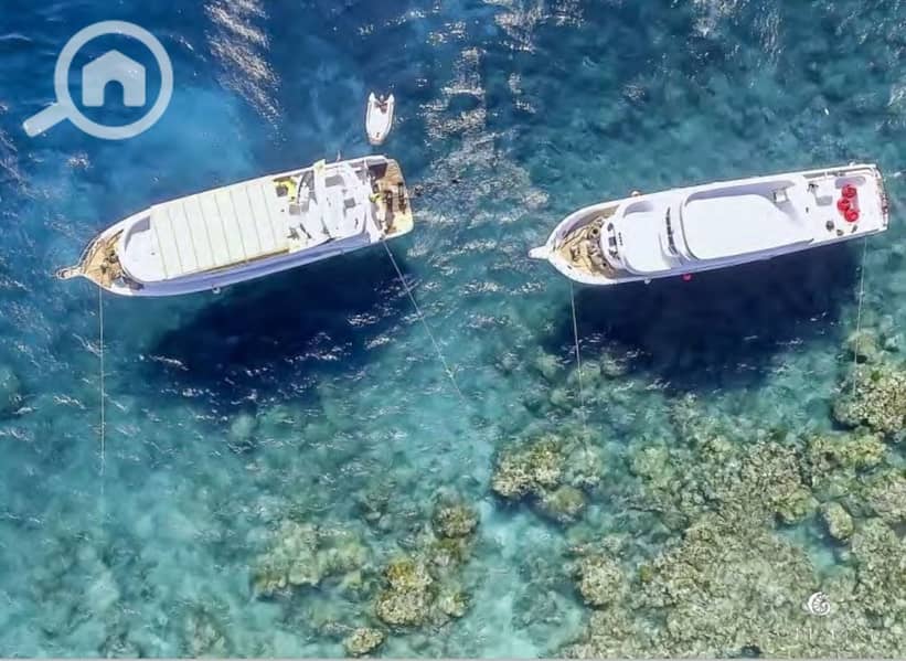 10 Screenshot_27-2-2024_145048_. jpeg