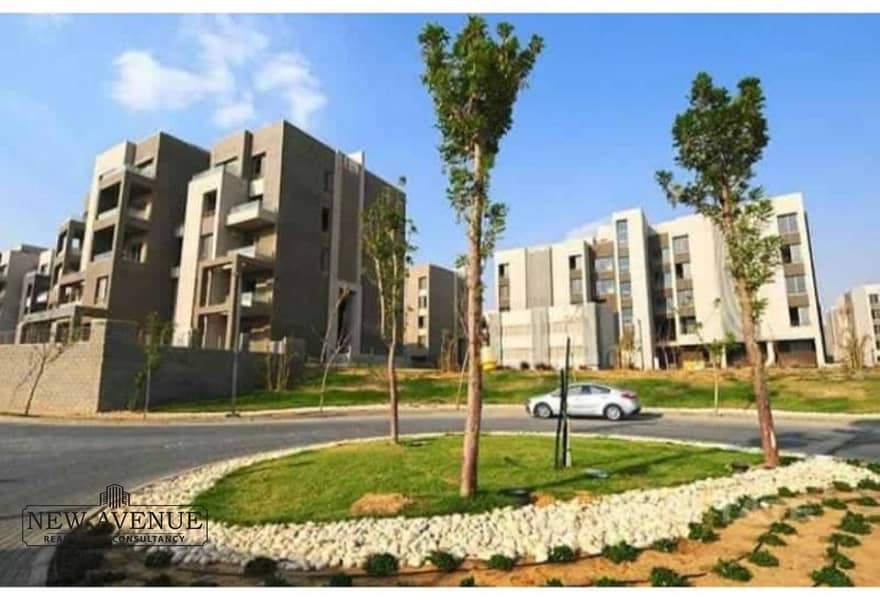 8 cf9606c7-8606-44a8-8b45-fdbe64682848. jpg