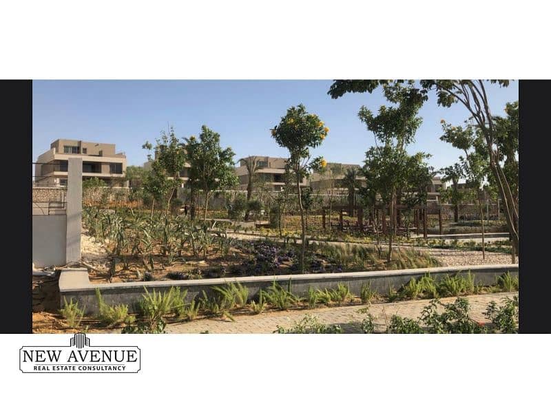 6 WhatsApp Image 2023-02-13 at 3.09. 12 PM. jpg