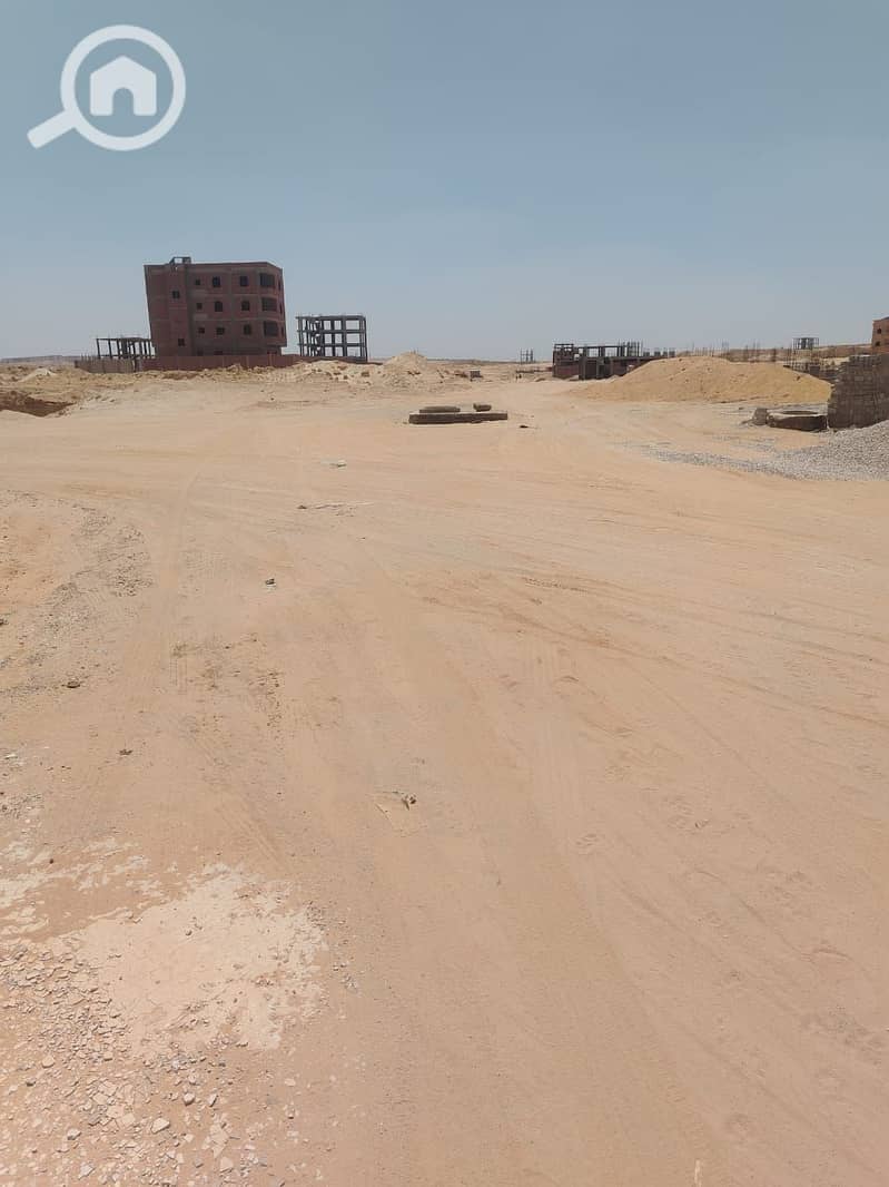 3 WhatsApp Image 2025-08-16 at 11.06. 09 AM. jpeg