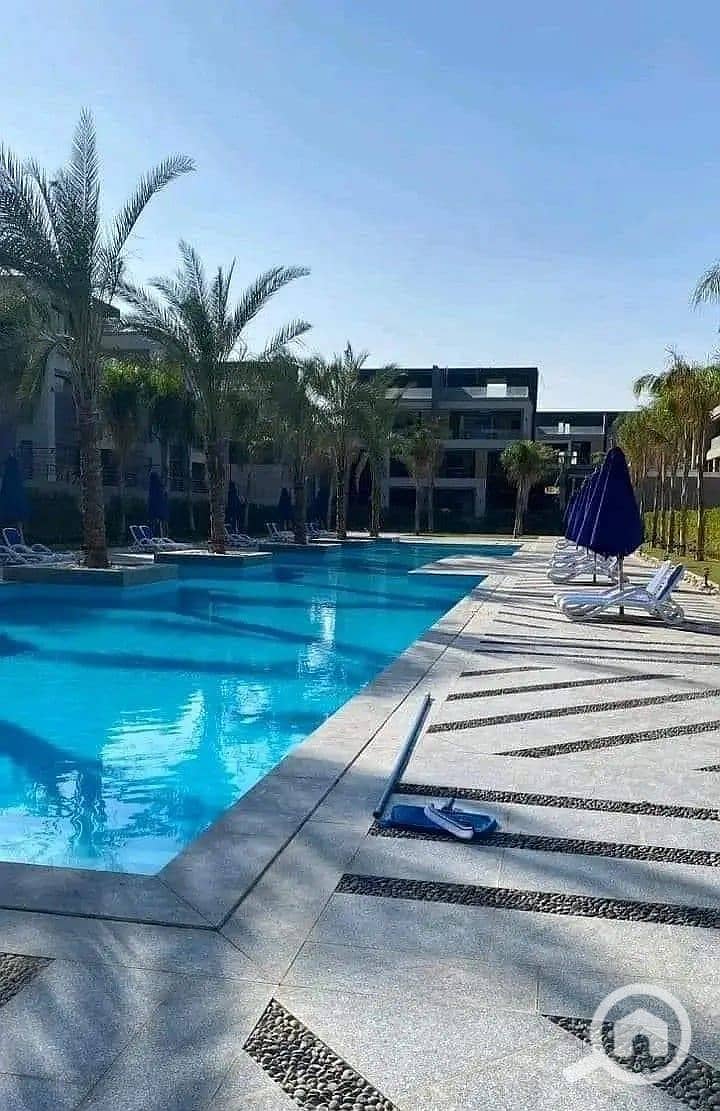 3 26256162-800x600. JPG