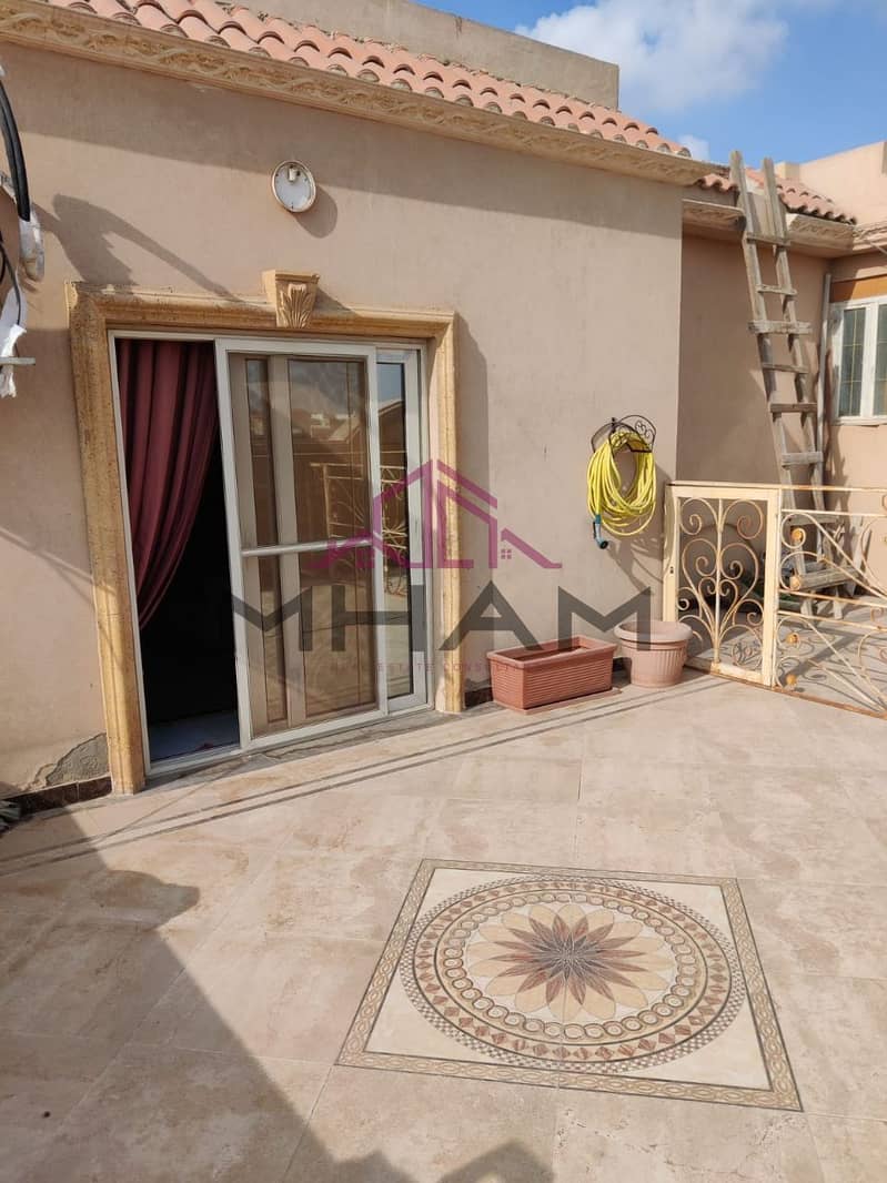 12 photo_5924906668032461832_y. jpg