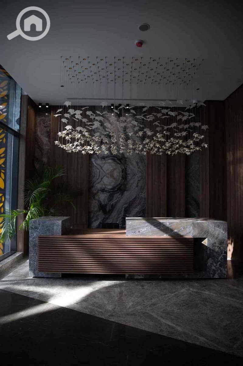 17 65d4796e-1c41-4913-aa3c-ab0b75e47b74. jpg