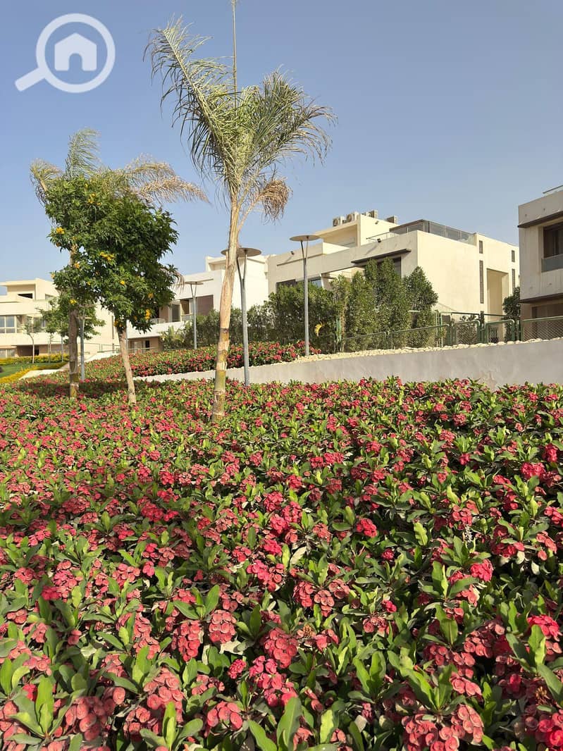 7 WhatsApp Image 2025-06-23 at 13.55. 38_272fa8da. jpg