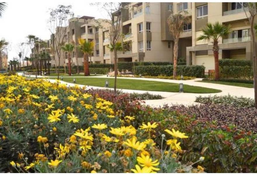 5 8415091c-8acc-4acf-82bb-45bbcea41145. jpg